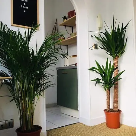 Mignon, Plein Centre Daire