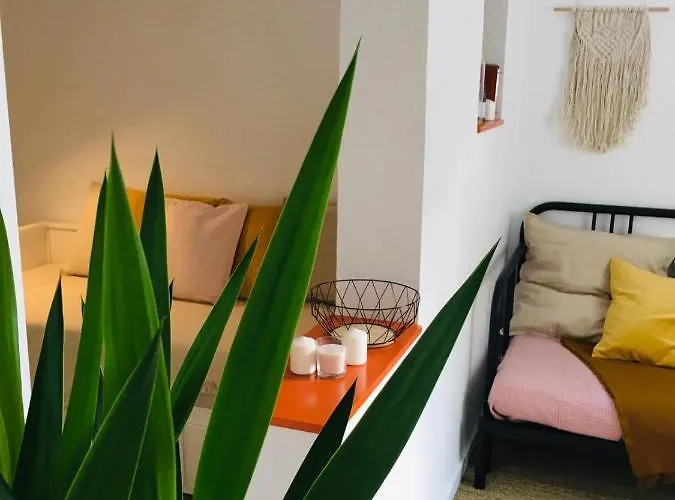 Mignon, Plein Centre Biarritz