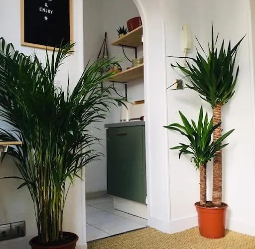 Mignon, Plein Centre Apartment