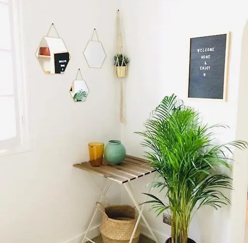 Mignon, Plein Centre 比亚里茨